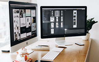 郑钦文、张之臻领衔！四名中国选手进入法网正赛，商竣程因伤退赛